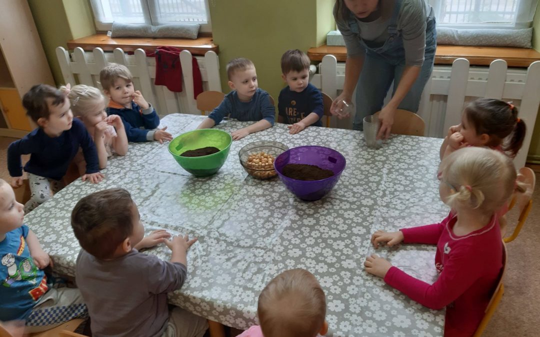 W oczekiwaniu na wiosnę… :)