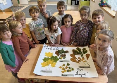 Zielnik – realizacja Ogólnopolskiego Projektu Edukacyjnego „Jestem małym przyjacielem przyrody”